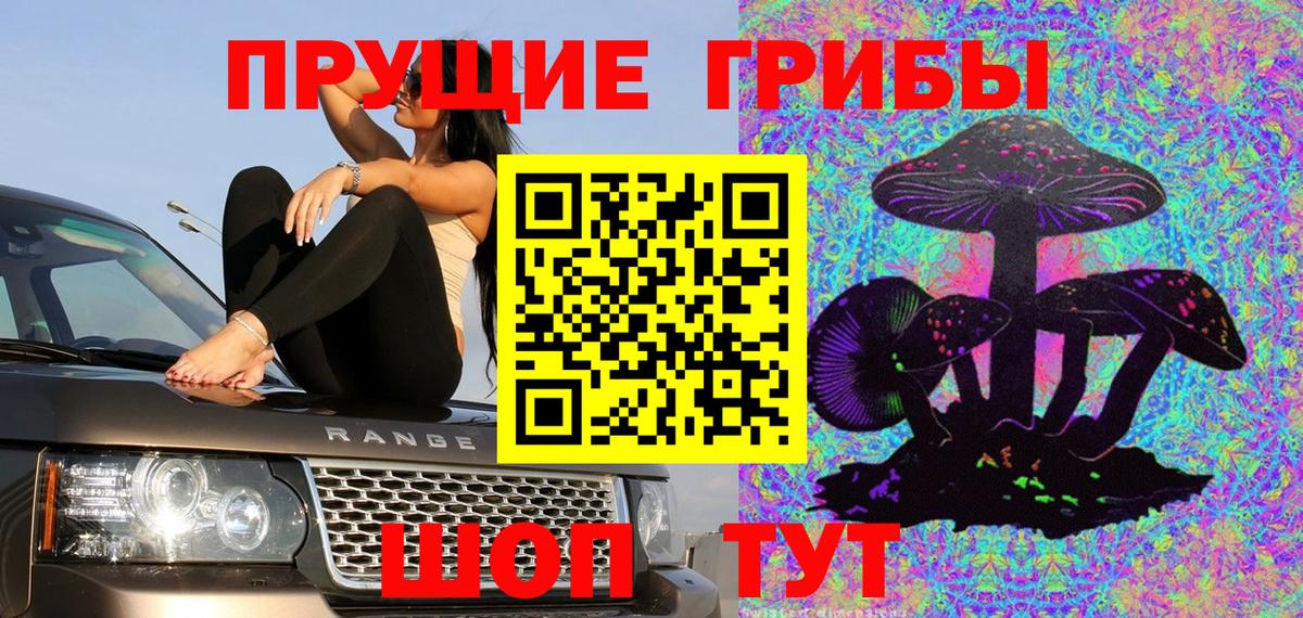 Галлюциногенные грибы Psilocybe Шадринск